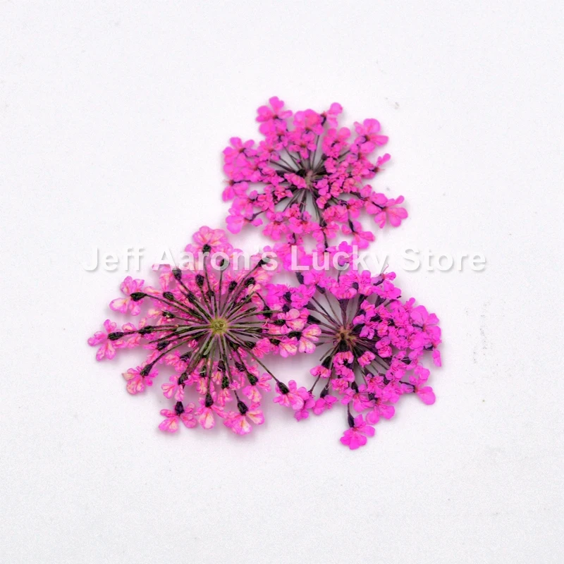 12 Colors Dried Flower For Nail Art Decorations Natural Nail Dry Flowers Gypsophila Paniculate Creative Manicure Tool