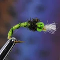 green 4pcs