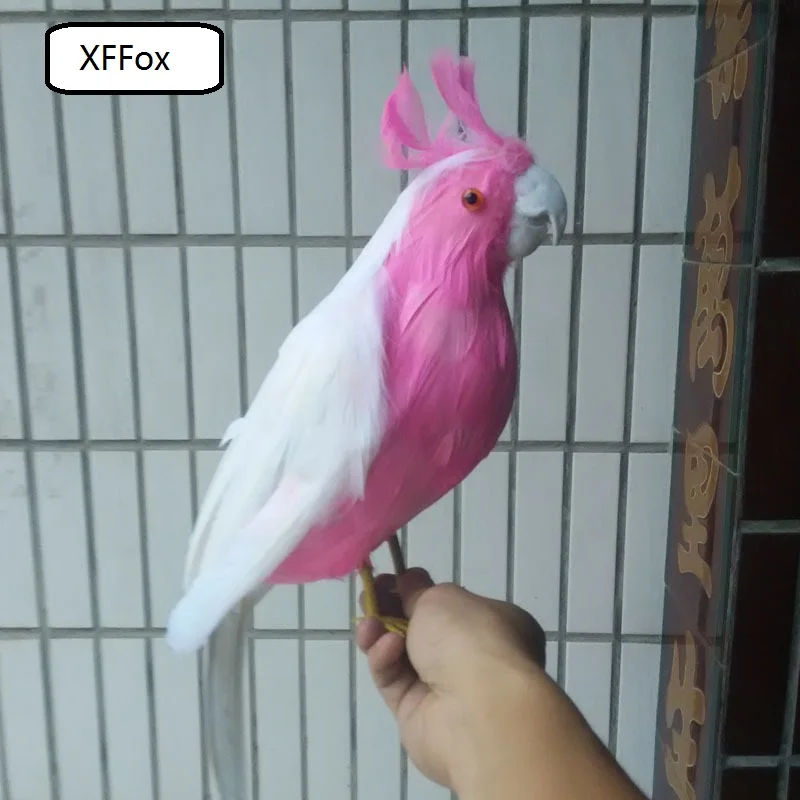 big real life pink&white parrot model foam&feather simulation parrot bird gift about 40cm xf0178