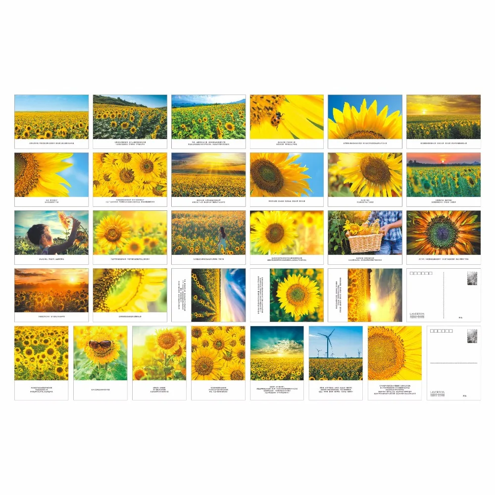 30 Sheets/LOT Sunflower Series Postcard /Greeting Card/Wish Card/Christmas and New Year gifts