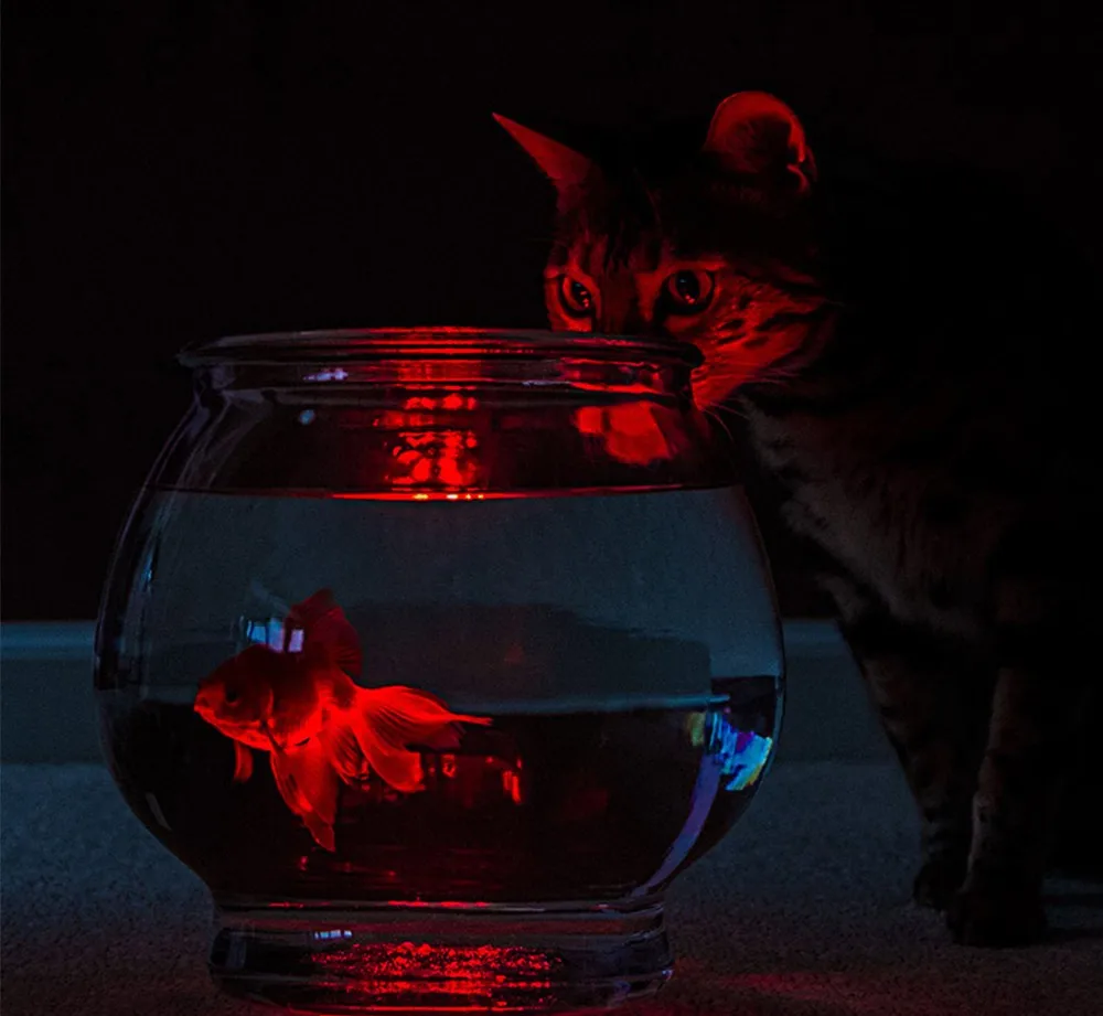 1 PC 10 LED Wedding Decoration Waterproof Submersible LED Party Tea LED Light With Remote For Halloween Christmas Decor