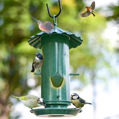 

2019 New European style wild bird feeder Outdoor bird feeders food container
