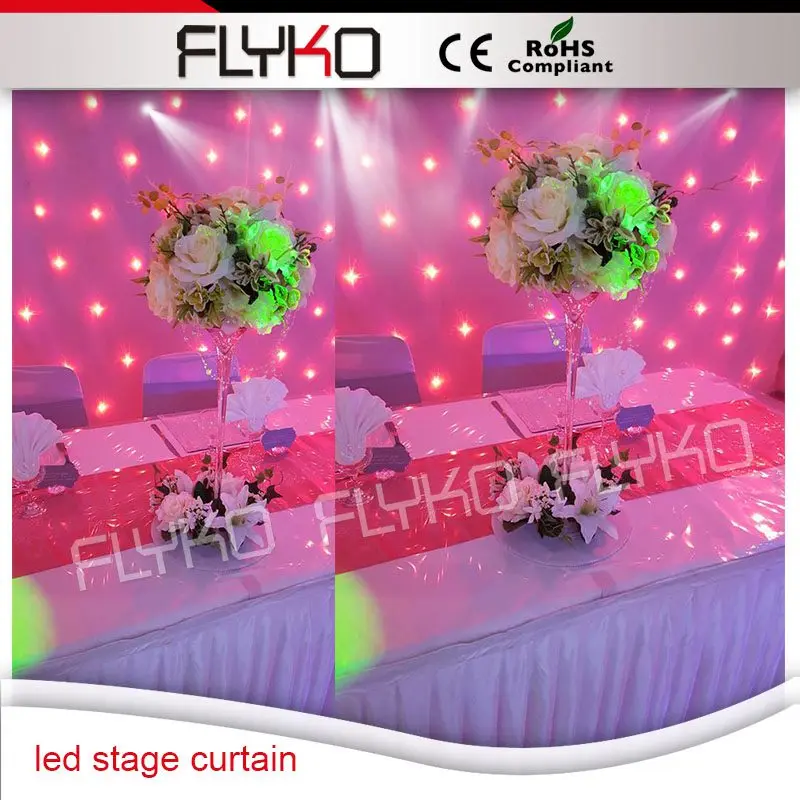 

Free shipping low price High quality more led lamp 3x3m White led starry sky curtain