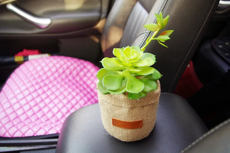 Car Ornaments Succulents Bamboo Charcoal Remove formaldehyde Activated carbon package Car bamboo package