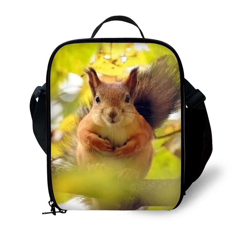 

Children student polyester small insulation lunch bag female picnic durable thermal box lunch box isotherm bag Animal squirrels