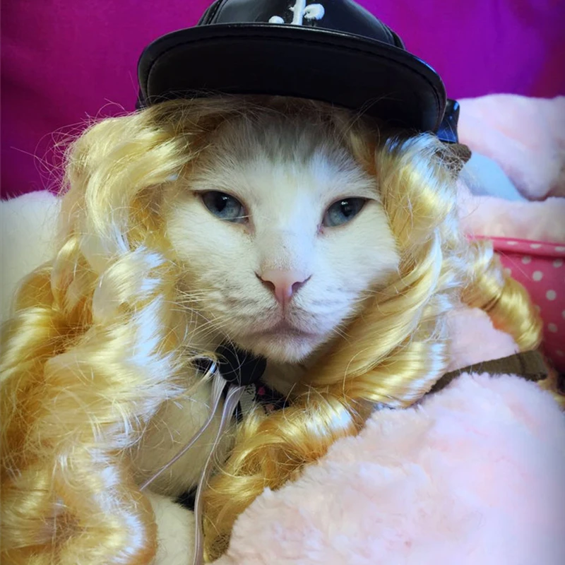 [MPK Pets] Cat Wig Pet Golden curls Wig Cat hat