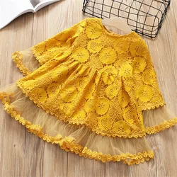 2-7 year girls clothing 2019 spring autumn new fashion flower   princess dress kid children dress girls clothes girls dress