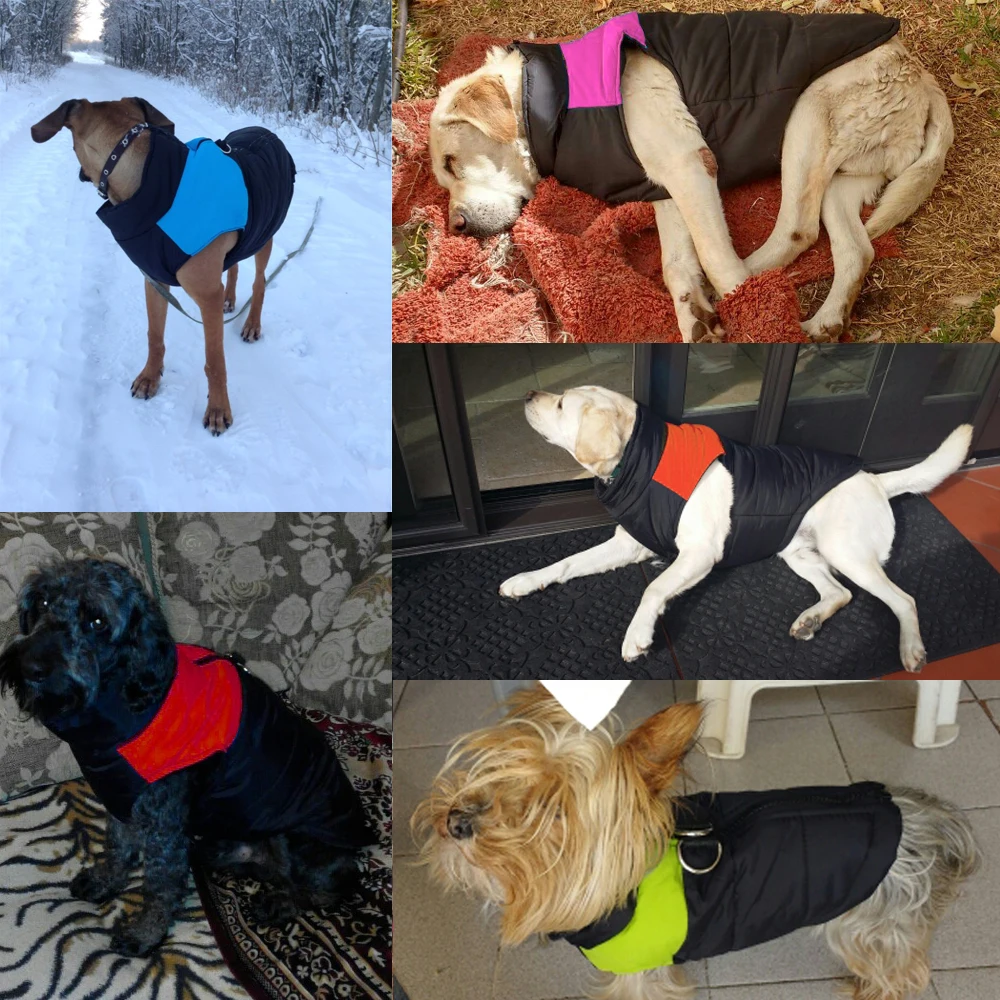 Winter Pet Dog Puppy Clothes Vest Jacket Chihuahua Clothing Warm Dog Clothes Coat For Small Medium Large Dogs 4 Colors S-5XL_voghion.com