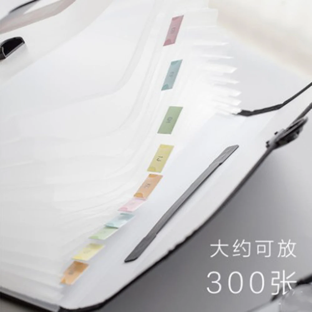 Cute Portable Expandable Accordion 12 Pockets A4 File Folder Expanding Wallet Document Briefcase