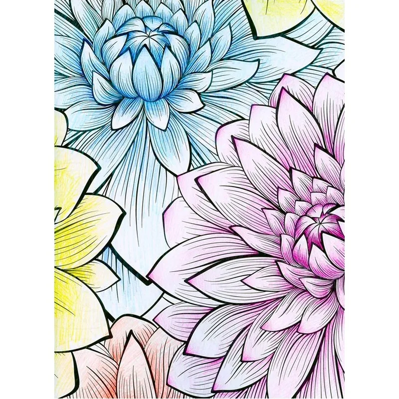 76 Pges Meditation time adult coloring books graffiti drawing panting book for Children Adult Relieve Stress secret garden