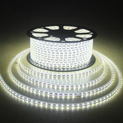 Bande Lumineuse LED Étanche avec Prise d'Alimentation, AC220V, IP65, 60 Diodes/m, SMD5050, RGB, Flexible, 5m, 10m