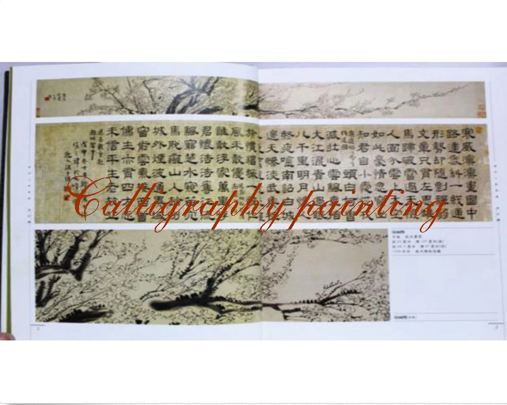 A Complete Collection Chinese Brush Ink Art Painting Calligraph Sumi-e Qing Dynast Yangzhou Eight Painter Book Watercolor