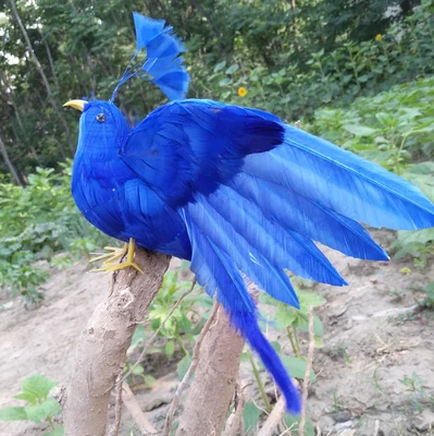 20x28cm blue feathers Phoenix artificial bird model handicraft,prop,home garden decoration gift p2799