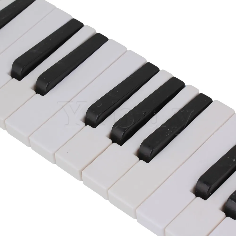 Thumbnail 3 - #32 Highest Rated Melodicas to Buy in 2026