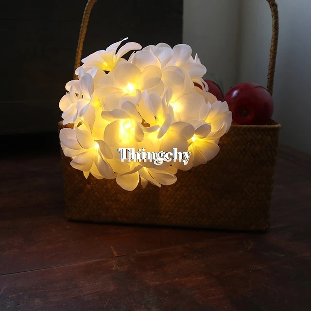Criativo diy frangipani led luzes da corda bateria floral iluminação do feriado, evento festa guirlanda decoração, quarto decoração casa