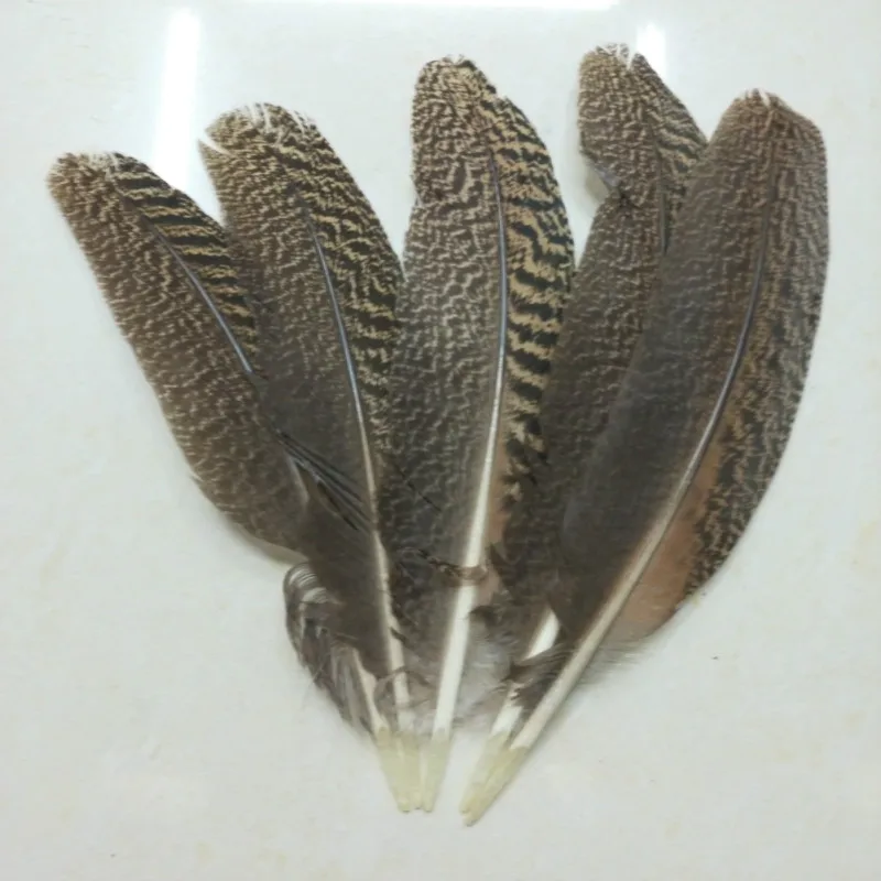 Wholesale 10 Pcs high quality scare natural owl eagle feathers 30-35CM 12-14inch Pheasant feather Diy jewelry Wedding decoration