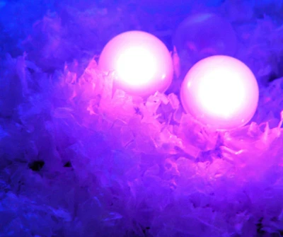 

Magical Berries!!! 1200pcs/lot Hot Selling Multi-color Battery Operated LED Fairy Pearls lights for wedding decoration