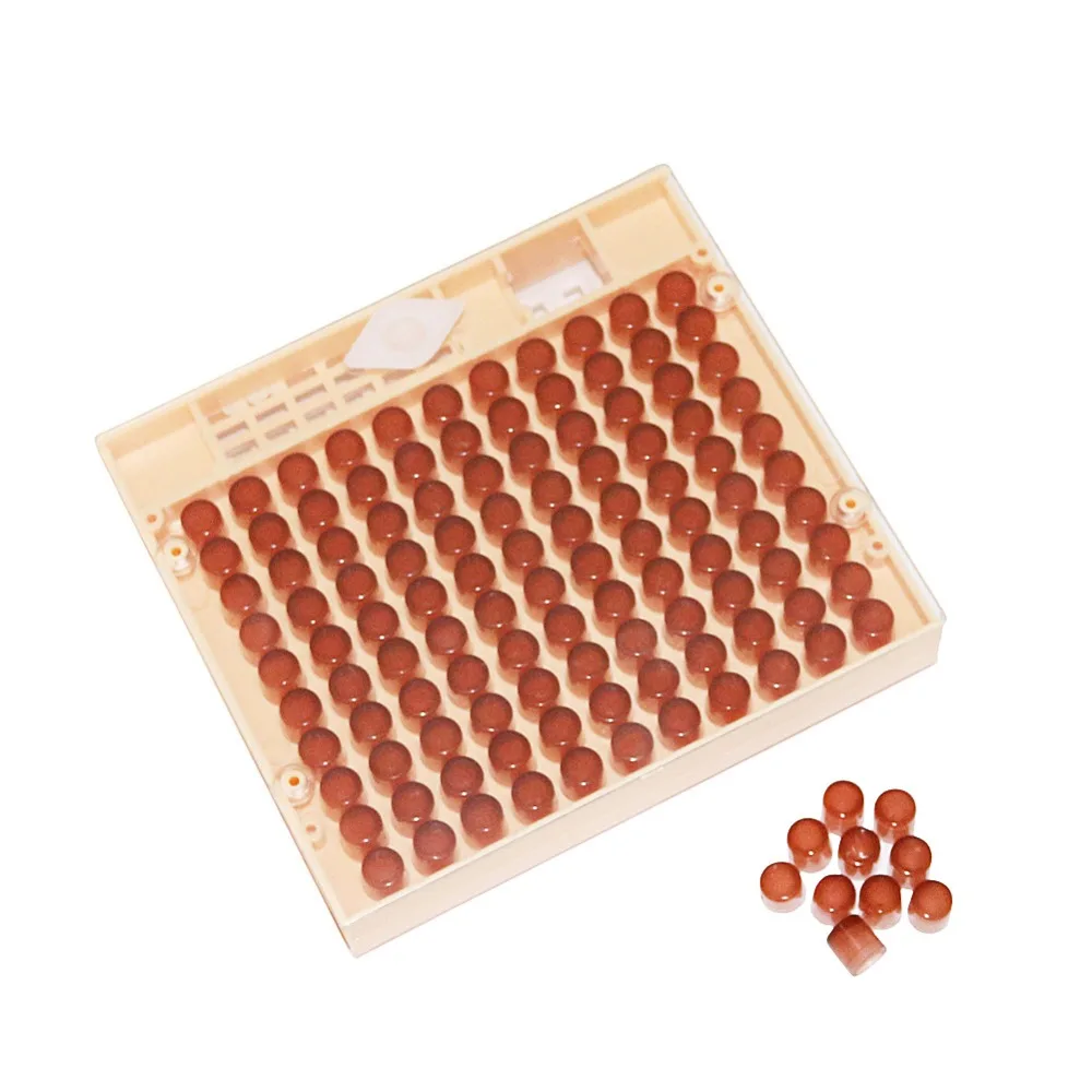 

Beekeeping Queen Rearing Cupkit Box 120x Brown Cell CupsSystem Cupularve Tools Bee Keeper Tools Apiculture Supplier