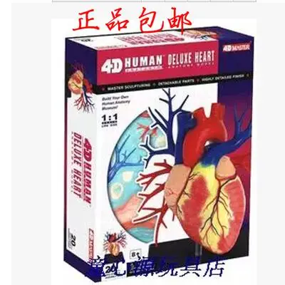 

4D MASTER Puzzle assembly Human heart assembled model 160 mm *130 mm * 210 mm