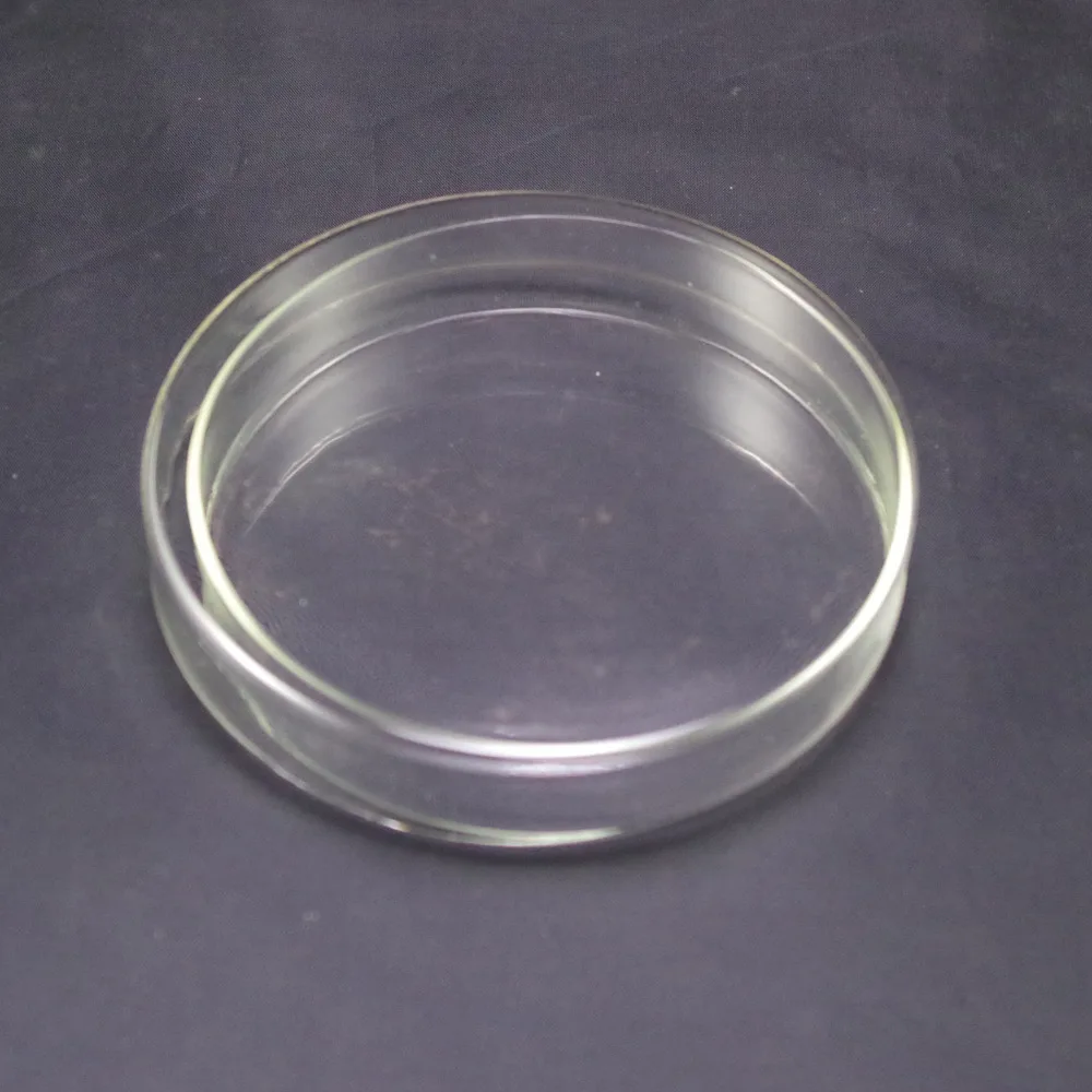 60mm Clear Borosilicate Glass Petri Dishes With lids Microorganisms Cell Clear Sterile Chemical Petri Dishes