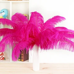 Free shipping 10 PCS beautiful natural Mei red  ostrich feather 50-55 cm / 20 to 22 inches