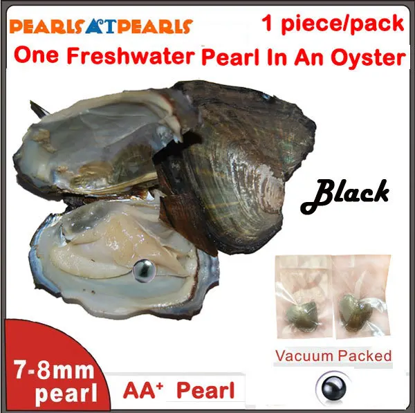 100pcs Vacuum Packed Wish Pearl in Fresh Oyster With Single 7-8mm Round Black Pearl Each Oyster