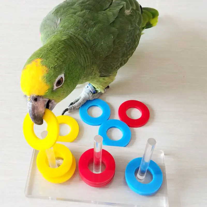 Pet Bird Parrot Cockatiel Training Puzzle Building Block Chew Bite Play ToysRings Parrot Toys Accessories Colorful