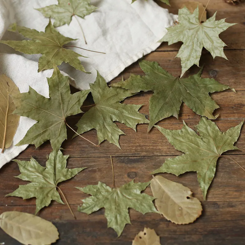 자연 단풍잎 마른 잎 가을 단풍 사진 소품 사진 스튜디오 액세서리 장식용, 레드 오리지널 색상