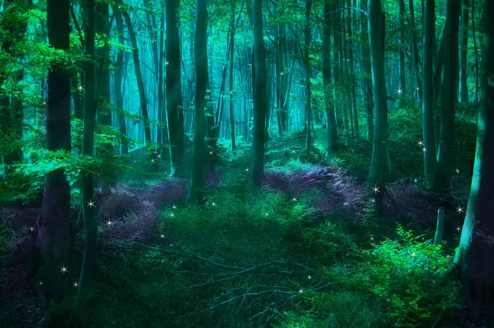 

green magic Enchanted Forest Jungle photo backdrop High quality Computer print wall background