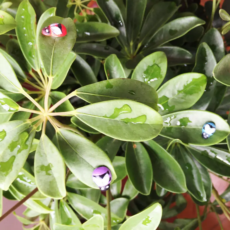 500 stks/partij, Kleurrijke bijen hout stickers Pasen ambachten Plant decoratie Lente ornament Kleuterschool kunsten en ambachten Groothandel