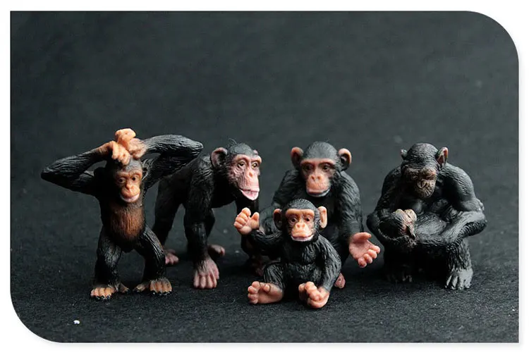 5pcs/set Animal Model Toy Set Action Figures Toys for Collection Chimpanzee Model Kids Learning Educational Toys Children Gifts