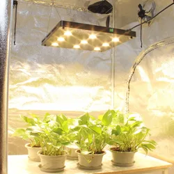 Luz LED ultrafina CF GROW, Panel de cultivo de espectro completo para plantas hidropónicas, iluminación de crecimiento de todas las etapas, 360W, 540W, 810W