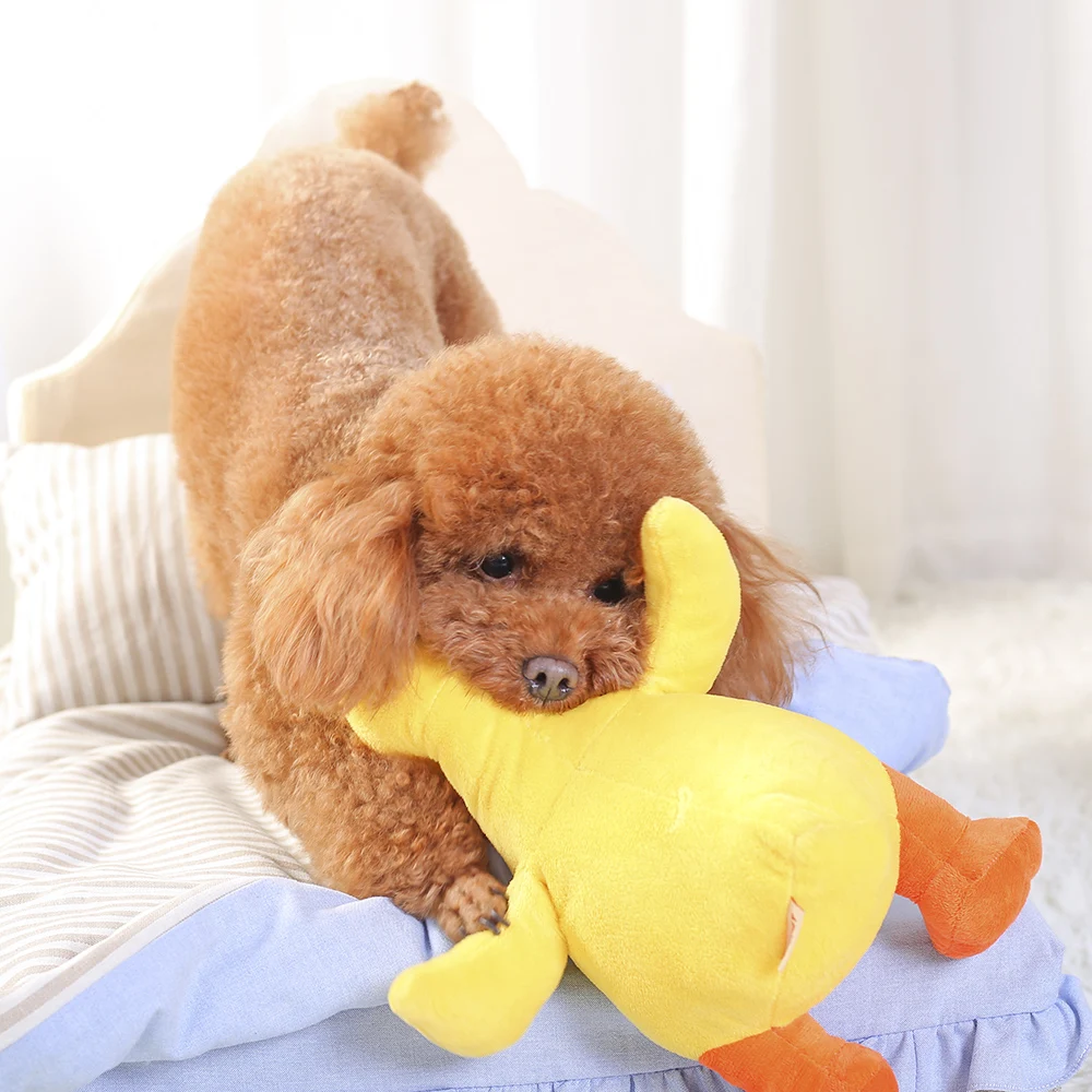 HOOPET Dog Toy Pet Chew Training Yellow Duck Product Funny Interactive Toy for Puppy and Cat