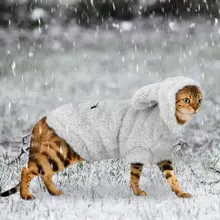 Warm Cat and Dog Winter Coat #3