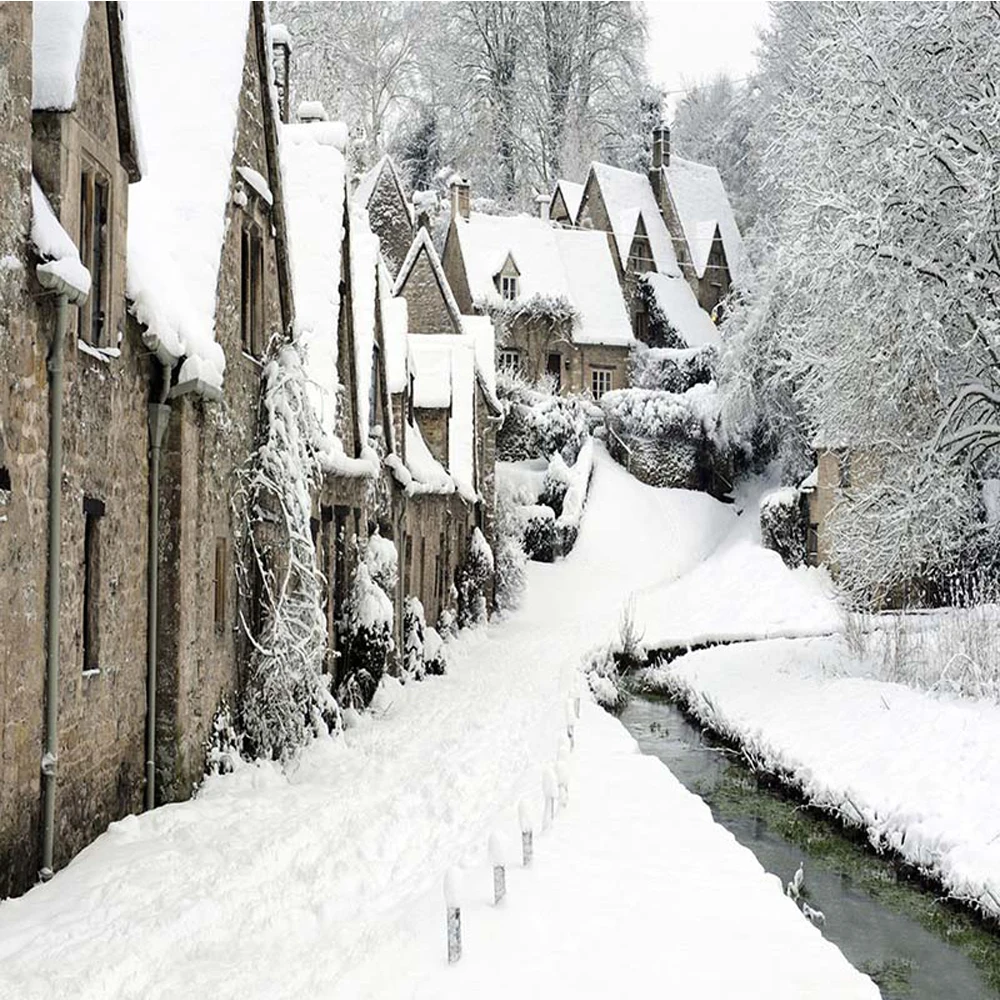 

Countryside Winter Scenic Photo Background Thick Snow Covered Village Houses Road Trees Kids Christmas Photography Backdrops