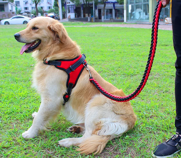 2017 High Quality Upgraded color collar Large Dog Harnesses Traction rope walk the dog P chain Pet  For Medium and large Dogs