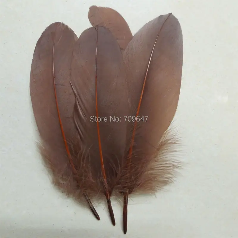 200pcs/lot!15-20cm long Goose Feathers,COFFE Goose Satinettes Loose Feathers,Cheap Bulk Crafting Feathers for Decorative Use