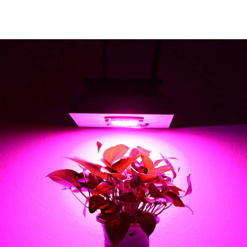 Imagem -02 - Espectro Completo Cresce a Luz para Plantas Médicas Internas Faça Você Mesmo Espirão ca 50w 100w 150w 200w 250w 300w o