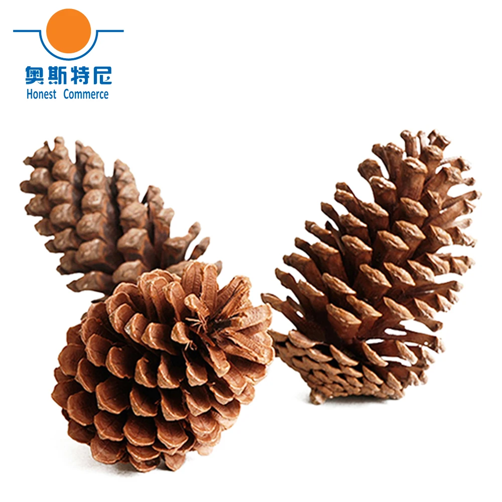 8pcs 12-14cm big size natural Christmas decoration big pine cones