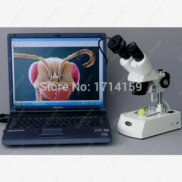 Hobbyist Microscope-AmScope Supplies 10X-20X-30X-60X Stereo Microscope + 1.3MP USB Camera