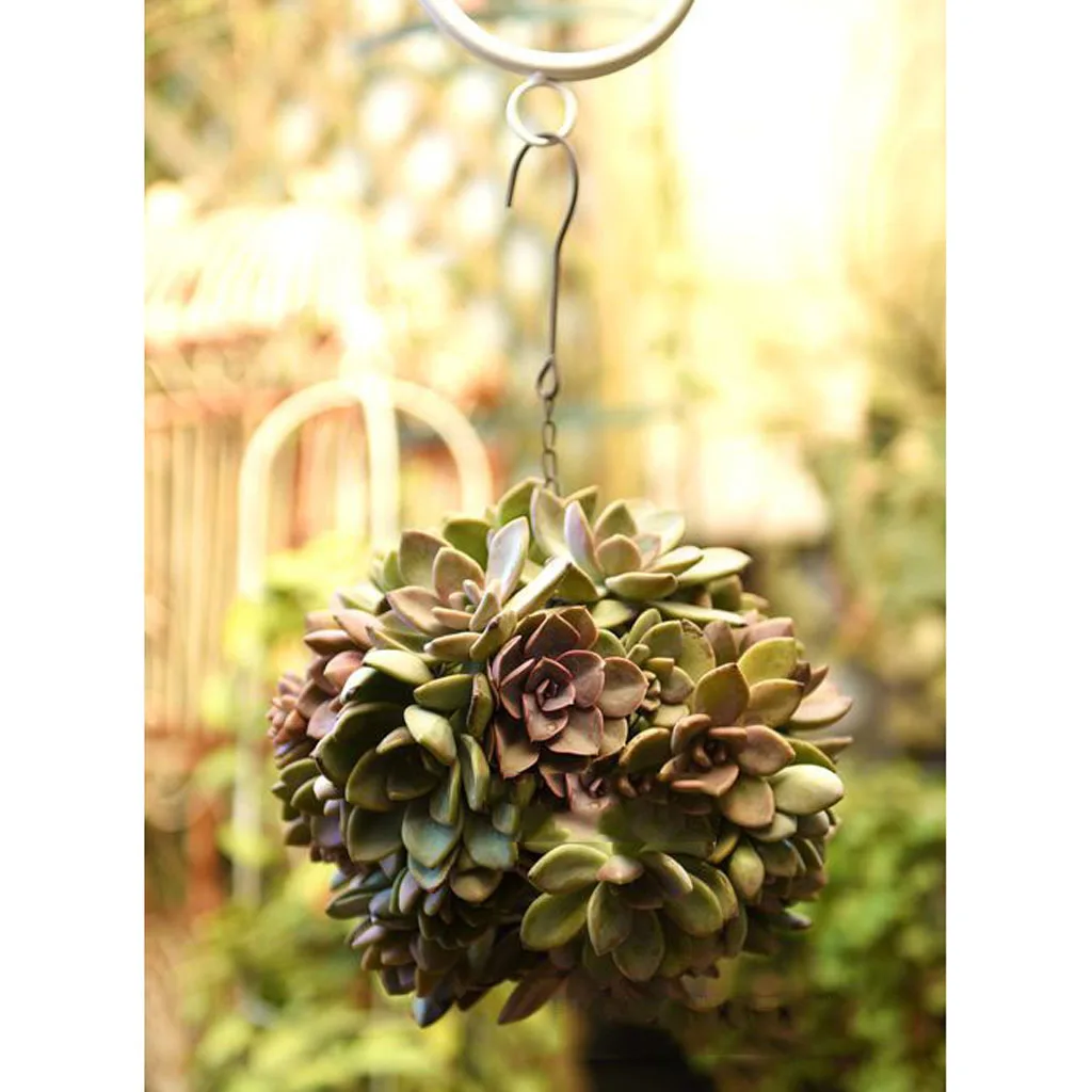 MagiDeal Rustic Romantic Iron Frame Ball Shape Succulent Pot Hanging Pot Hanging / Freestanding Metal Planter Flower Pots