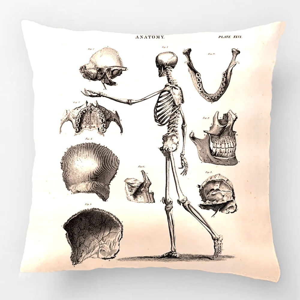 

Skeleton Antique Anatomy Skeletonss Wedding Decorative Cushion Cover Pillow Case Customize Gift By Lvsure For Seat Pillowcase