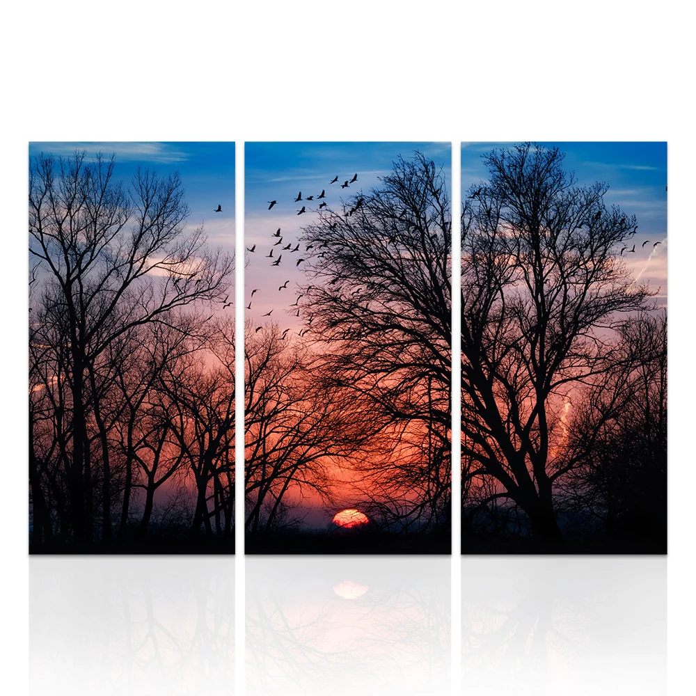 

3 Pieces Sunset and Forest Poster Wall Art Flying Birds Print Canvas Painting Modern Style Picture Living Room Home Decor