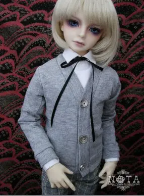 1/4 1/3 scale BJD clothes accessories Cardigan coat +shirt for BJD/SD doll clothing,Not included doll,shoes,wig,and other D1172