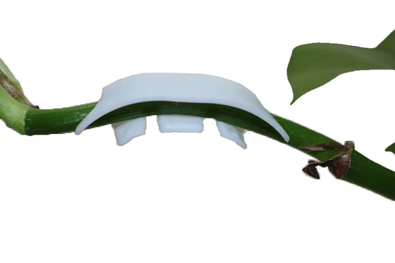 200pcs Tomato Gardening Retaining Clips Cherry Tomatoes Tomato Stalk Support Clip Ear Clip Semicircle Reinforcing New Material