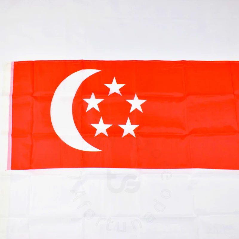 Singapore  90*150cm Banner  Hanging  National flag  for meet,Parade,party.Hanging,decoration