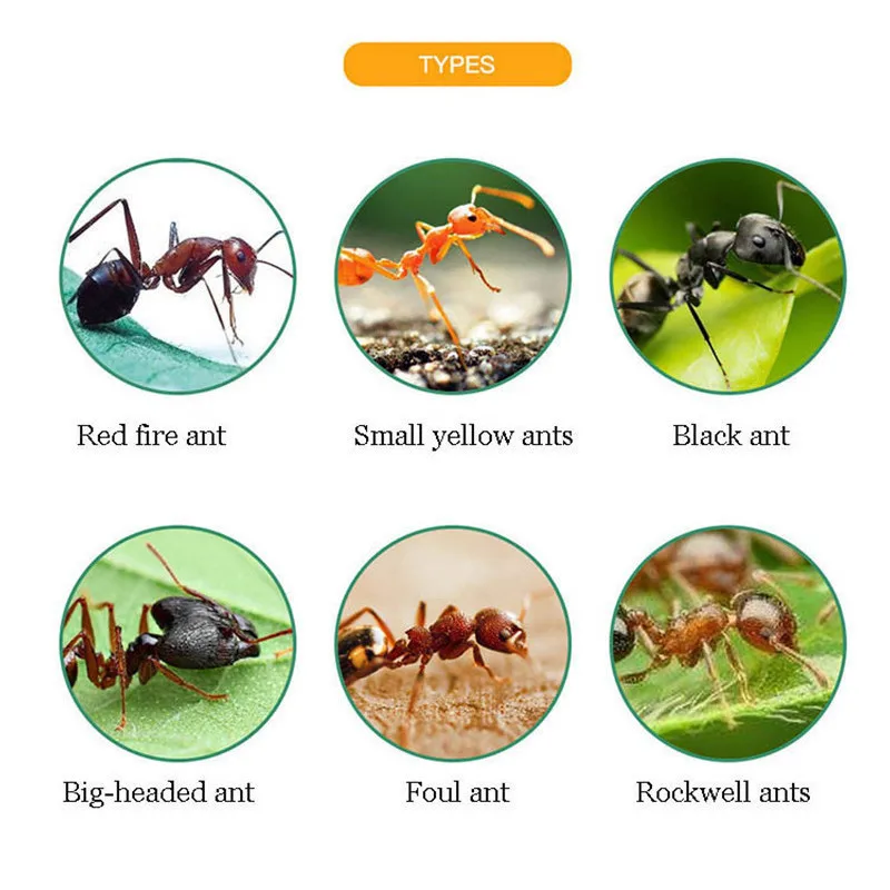 5pcs/lot Ant Bait Drug Tubes Home Pest Killer Strong 10g Attractive Effective Honey Chain Kill Toxic Ant Gel Poison Kitchen