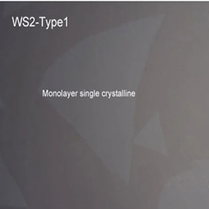 

Tungsten disulfide 15: copper film substrate WS2