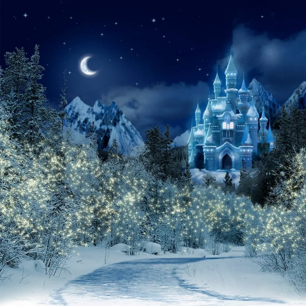 Cinderella blue Castle1 winter night moon  backdrops High quality Computer print party background