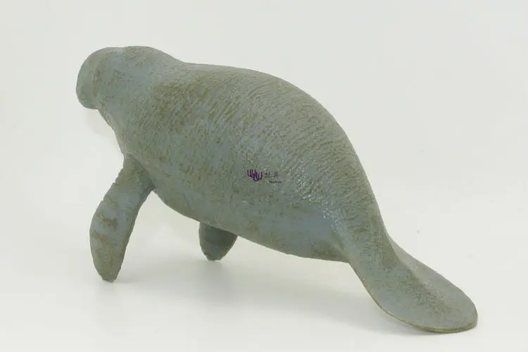 Hot toys Manatee, Sea Cows Simulation model Marine Animals Sea Animal kids gift educational props (Carcharodon carcharias Jaws )